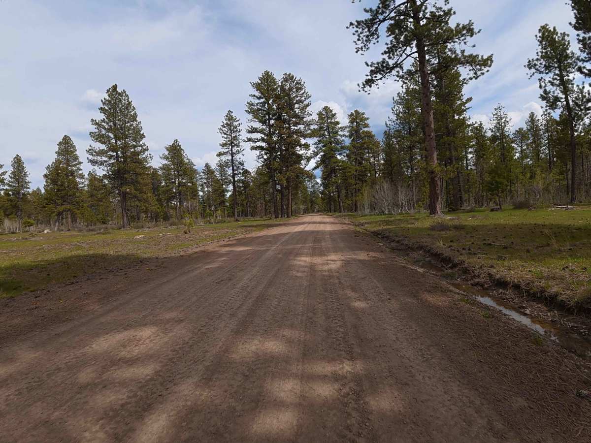 Cottonwood Road - FS 504 photo 6