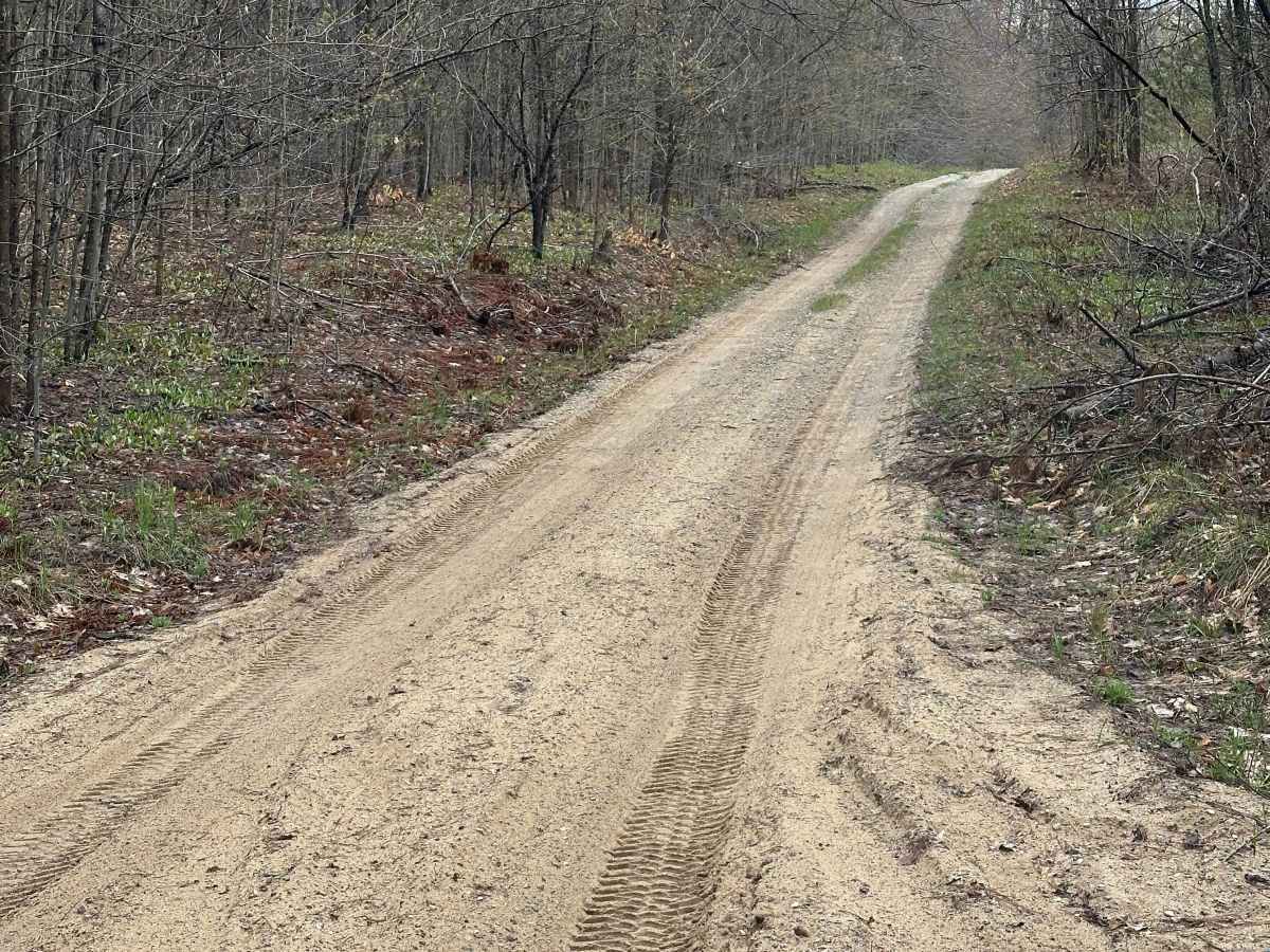 Post Road Cutover photo 6