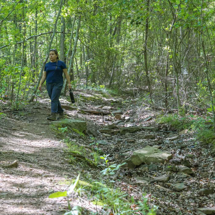 Near Moonshiners Cave Trail