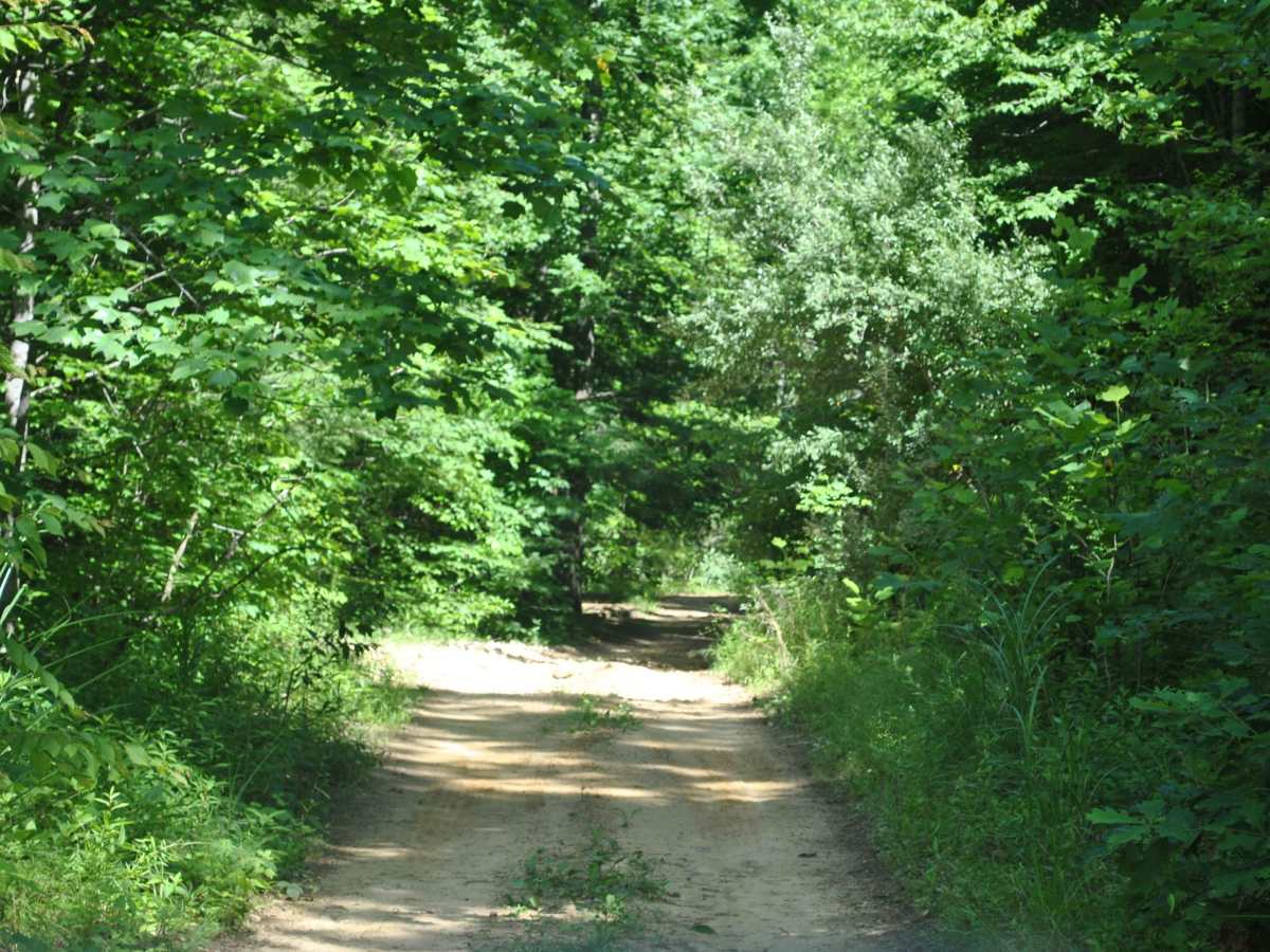 3 trail photo