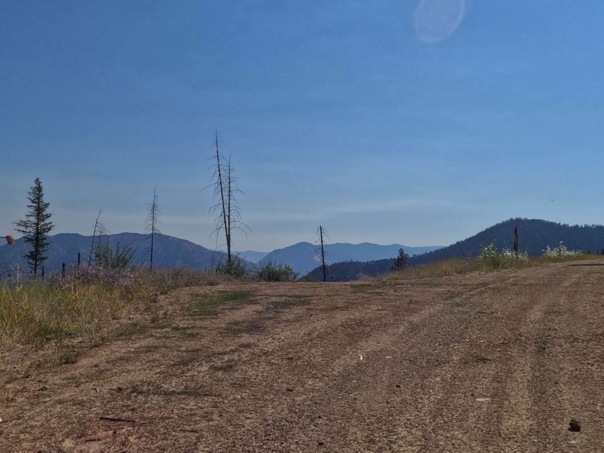 Saint Pats - FS 7783 trail photo