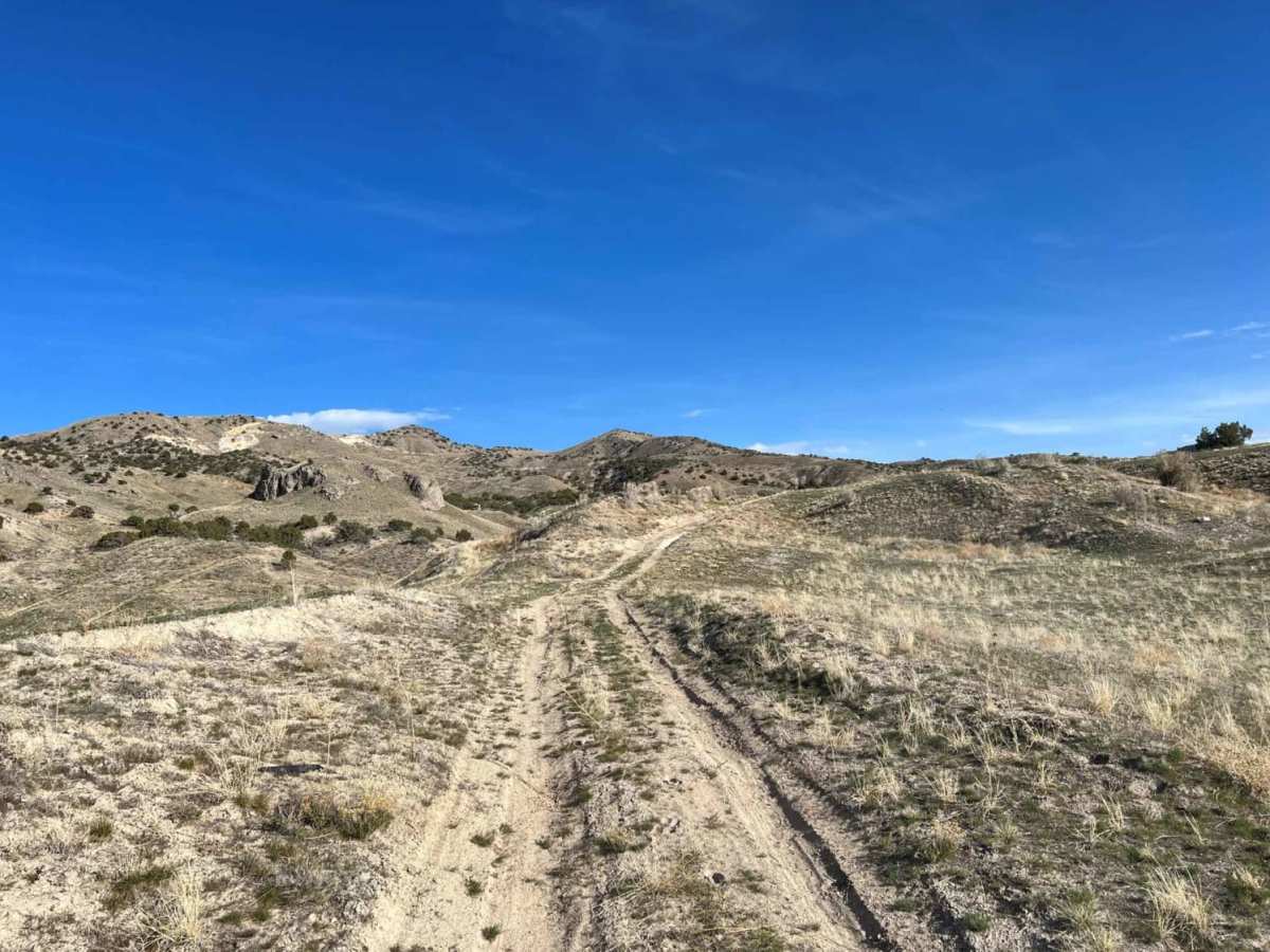 Mining Road trail photo