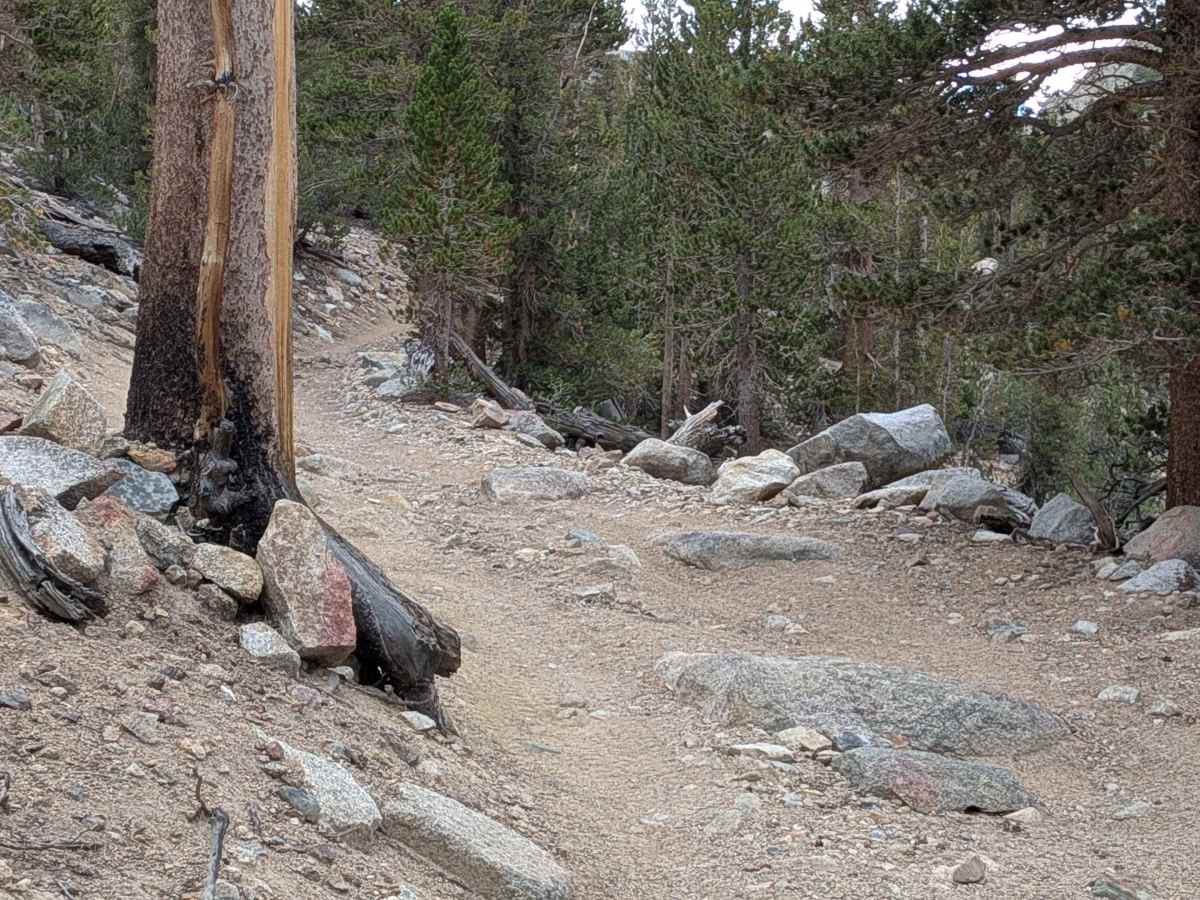 Coyote Lake Trail - FS 31E304 photo 4