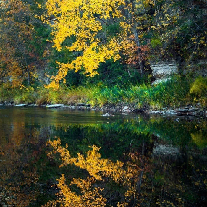 Near Root River Park Trail