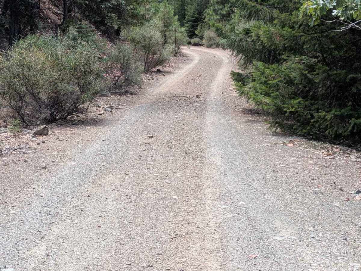 Ditch Gulch Road - FS 30N46 photo 2