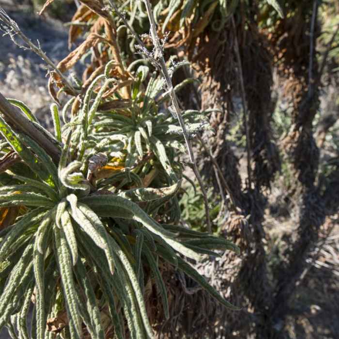 Near Three Points Ridge Hike