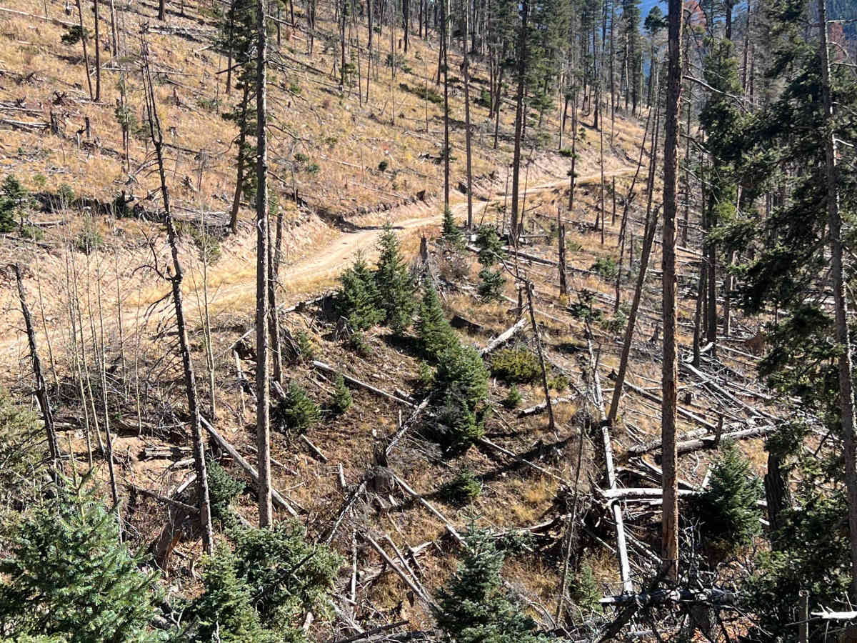 Sawmill  photo 4