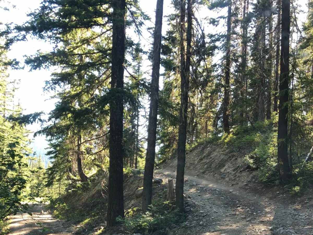 Upper Fortune Creek photo 4