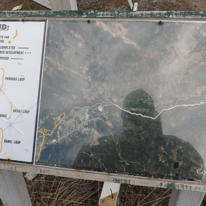 Near Parsons Loop