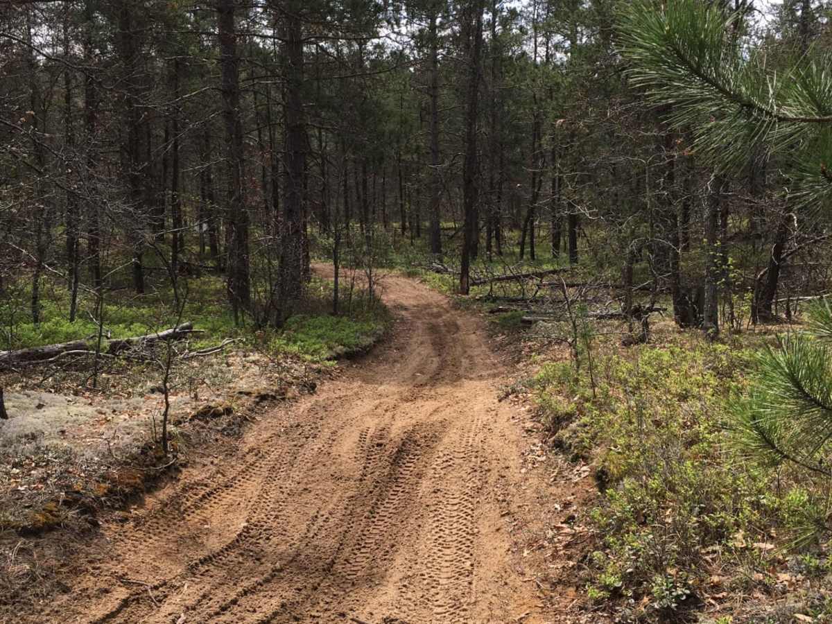 Atlanta Trail's - Center Loop photo 3