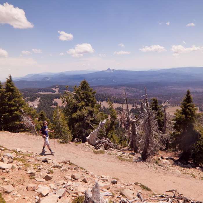 Near Watchman Trail to Watchman Tower
