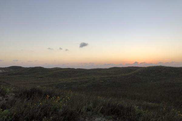 Padre Island National Seashore