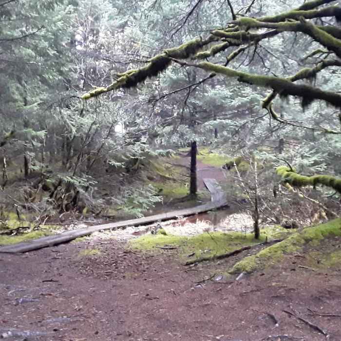 Near Gazebo Trail