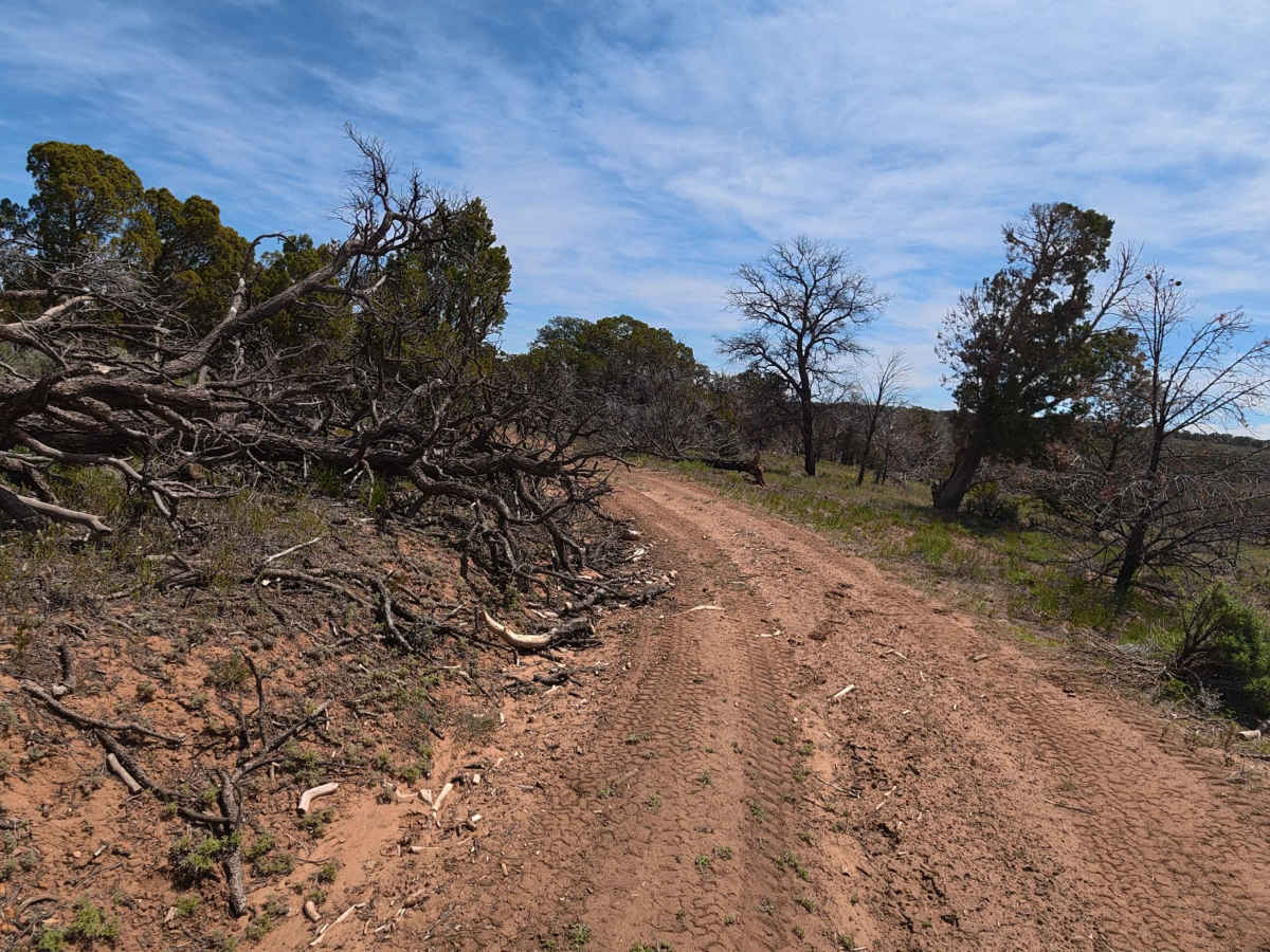 Little Mesa photo 2