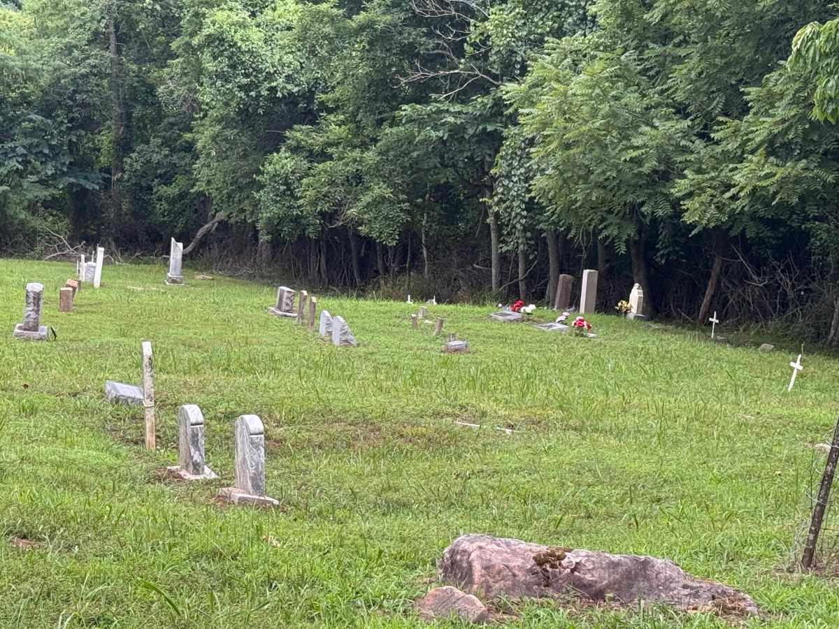 Culpepper Cemetery Road - 106 photo 3