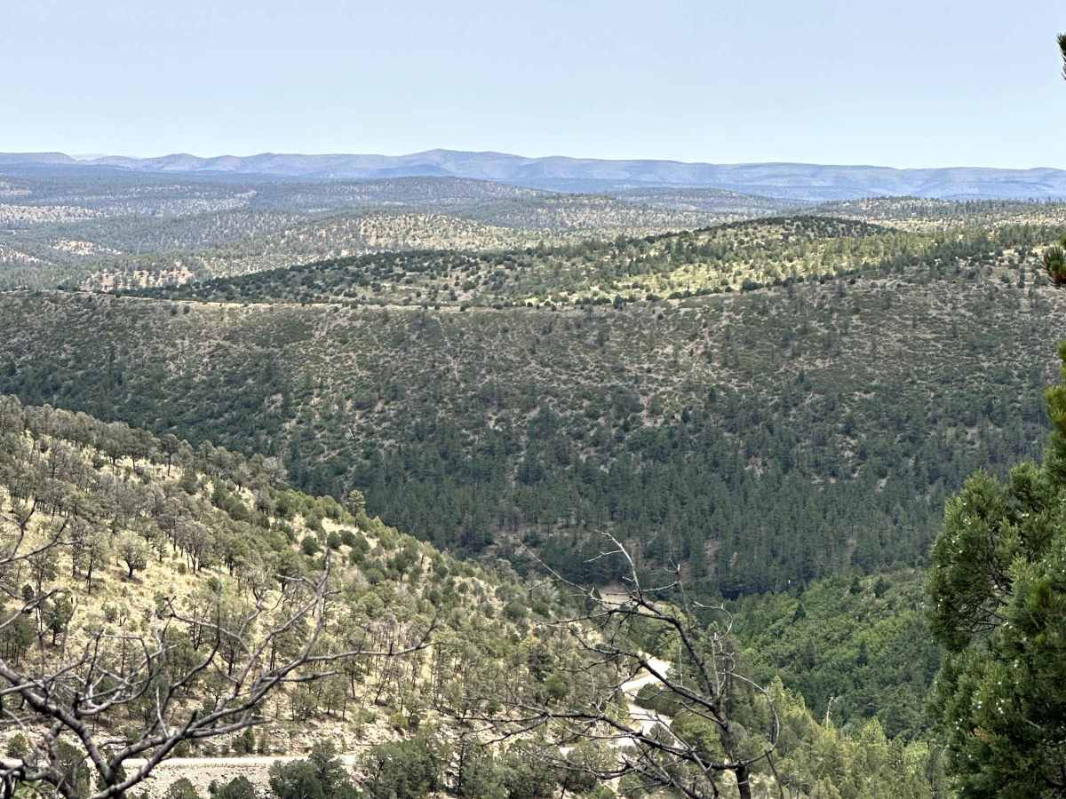Weed Lookout photo 5