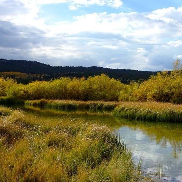 Near Hunter Lake Trail