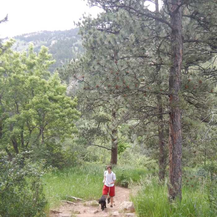 Near Bluebell-Baird Trail