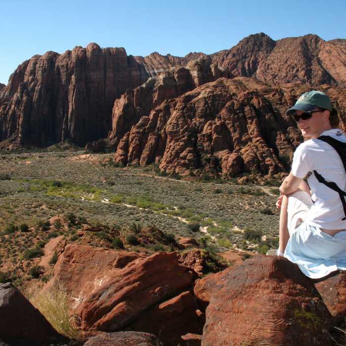 Near Lava Flow Trail