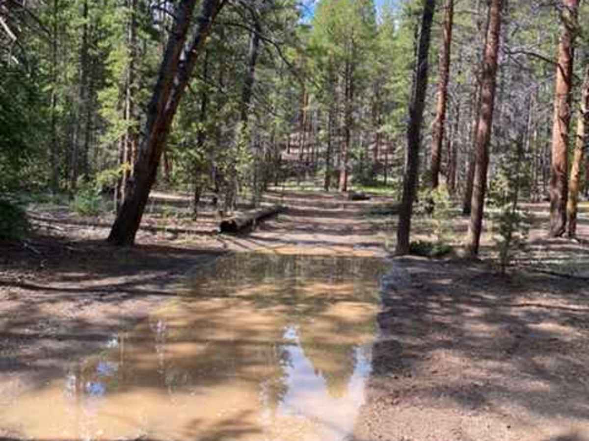 Tin Cup Lily Pond Loop photo 2
