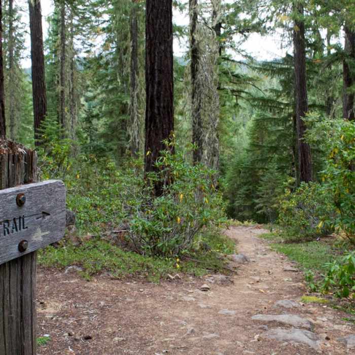 Near Lemolo Falls via the Lemolo Falls Trail