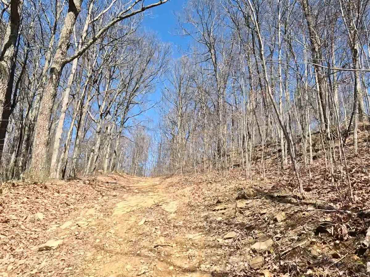 W21 trail photo