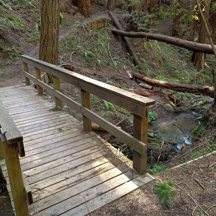 Near Bay Area Ridge Trail: Craig Britton Trail