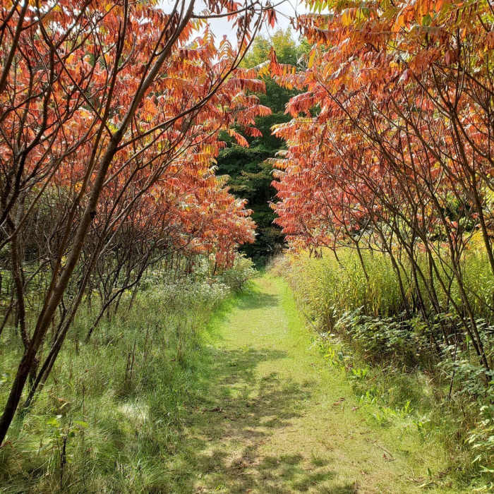 Near Little Cataraqui Creek Loop