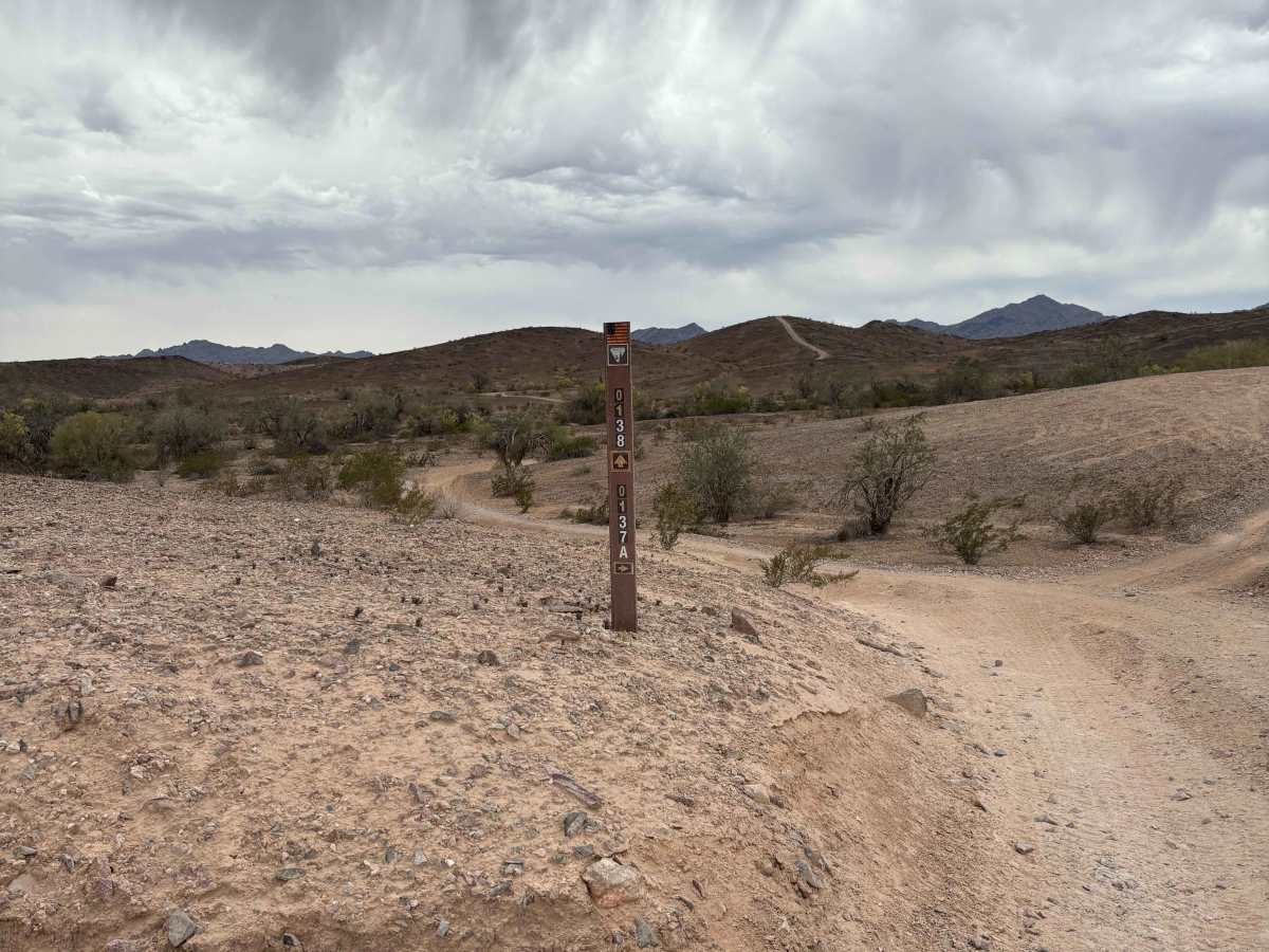 LP227 photo 6