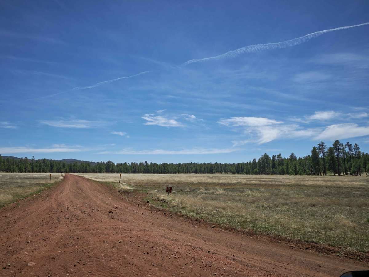 Sheep Springs Road trail photo