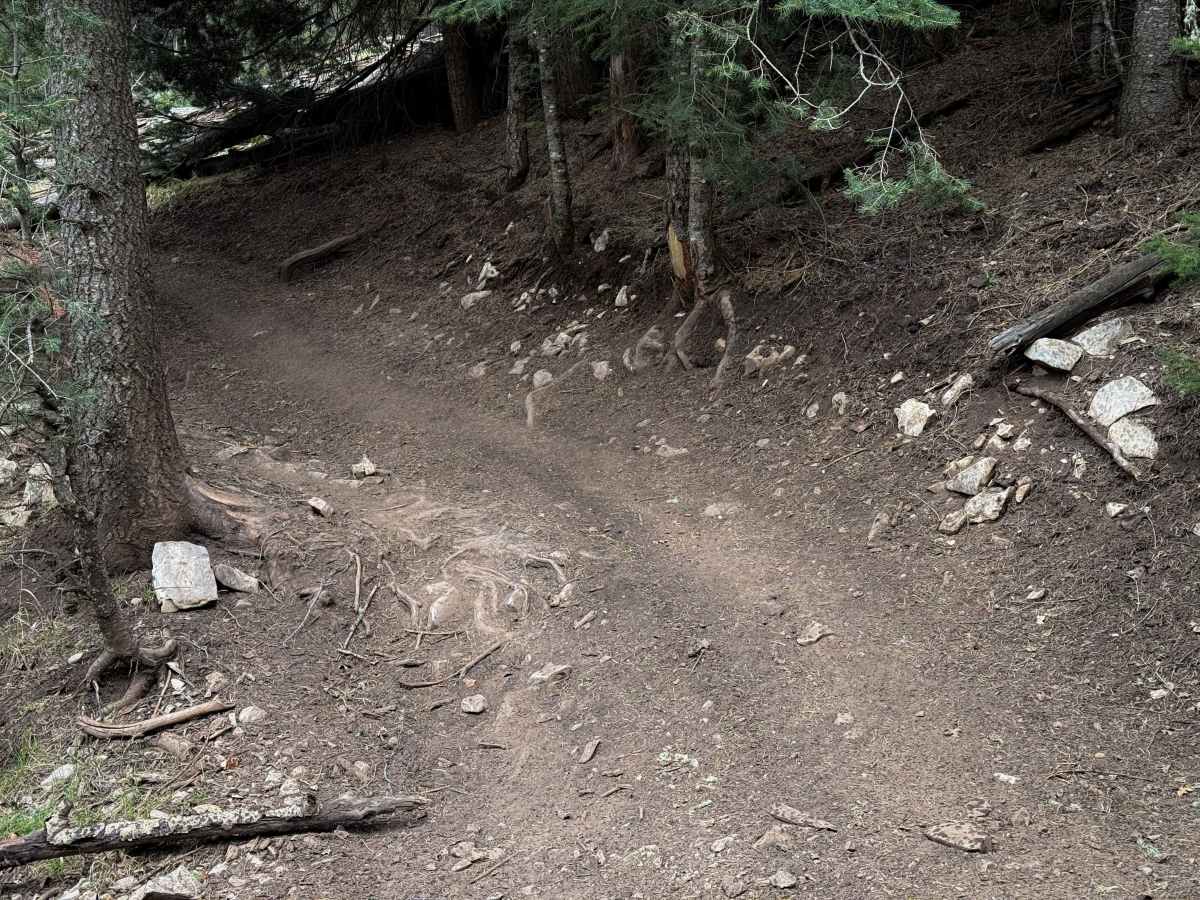Upper Wills Canyon - FS 9278  photo 3