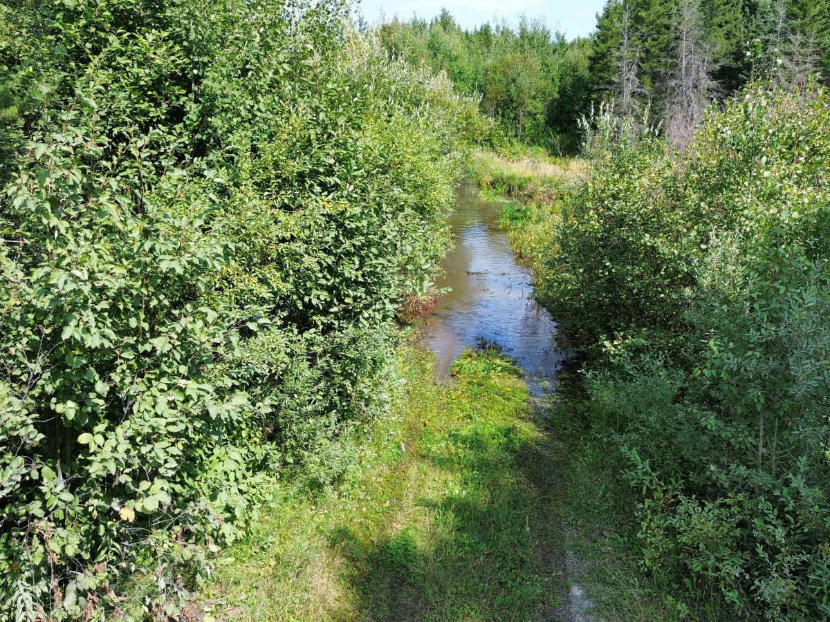 Jeep Mine Road trail photo