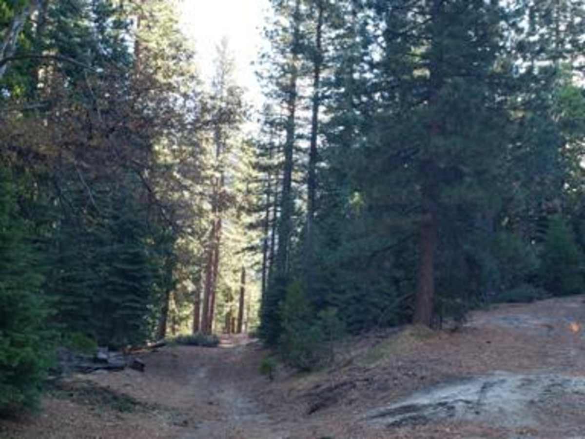 Wrights Lake Rd - 11N26A photo 6