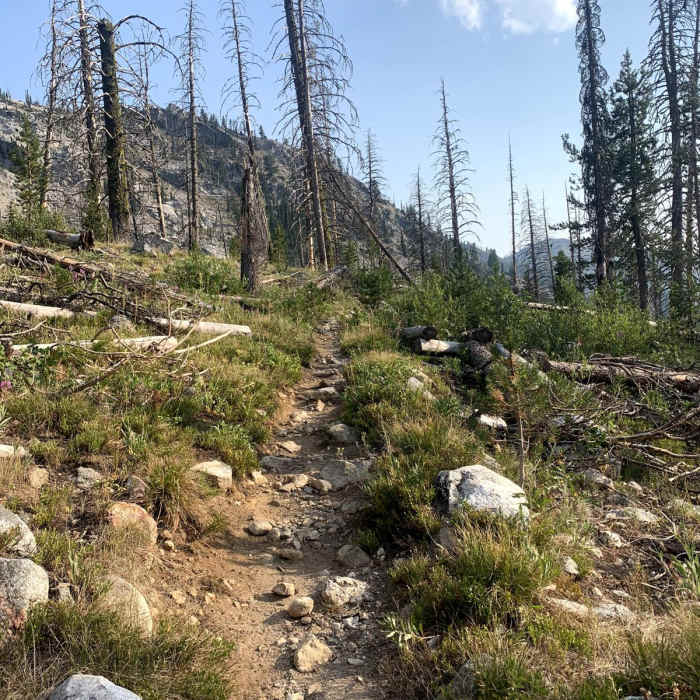 Near Iron Creek to Grandjean