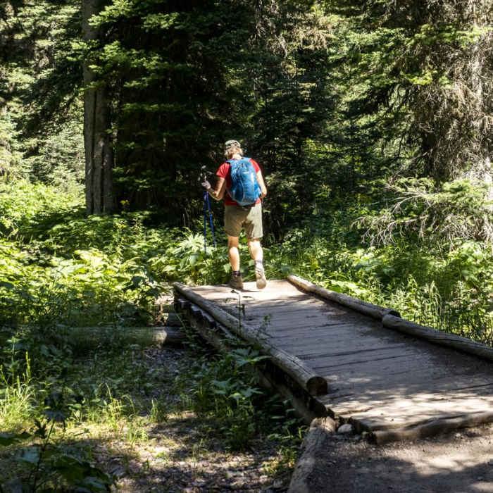 Near No Name Lake Hike