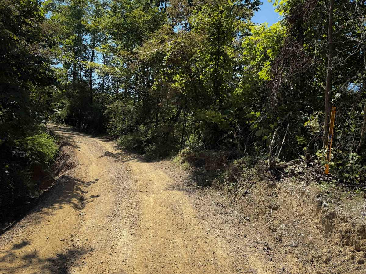 Top of the World Trail 30  photo 5