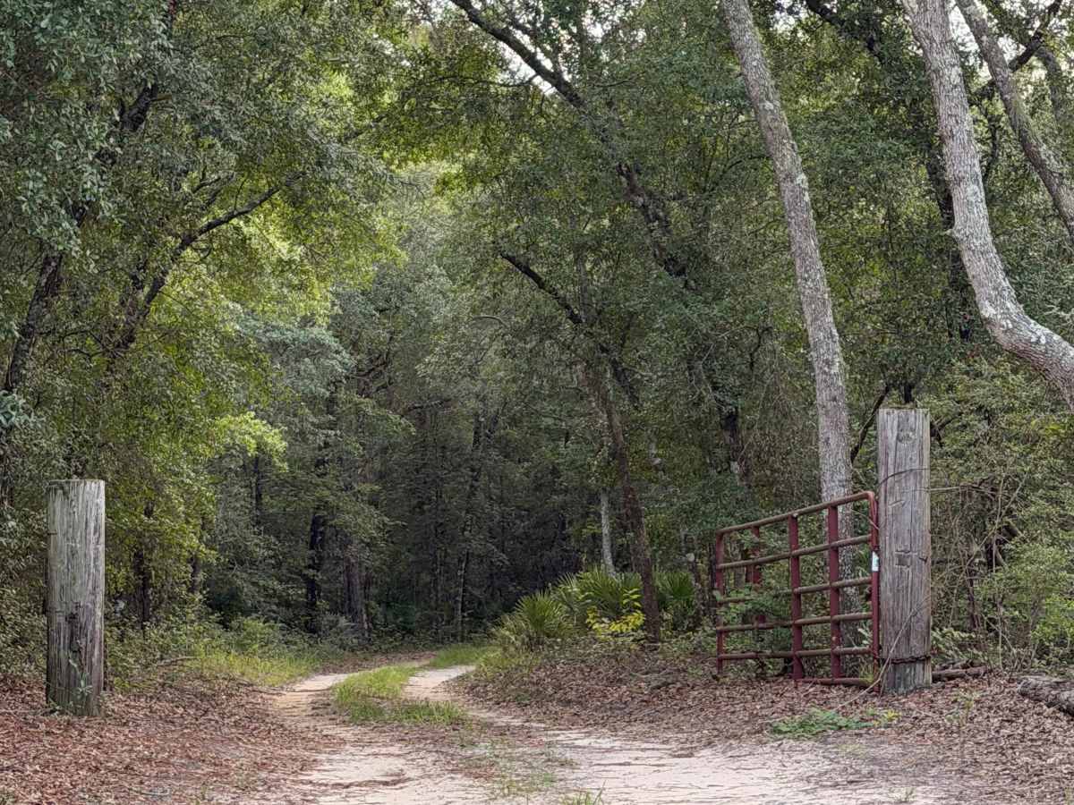 Lower Road trail photo