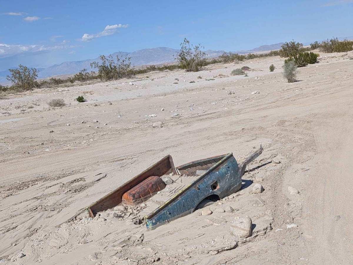 BLM 077 photo 5