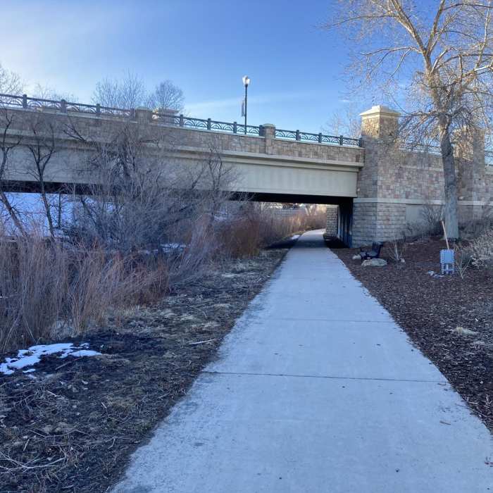 Near Sellars Gulch Trail Near Sellars Gulch Trail
