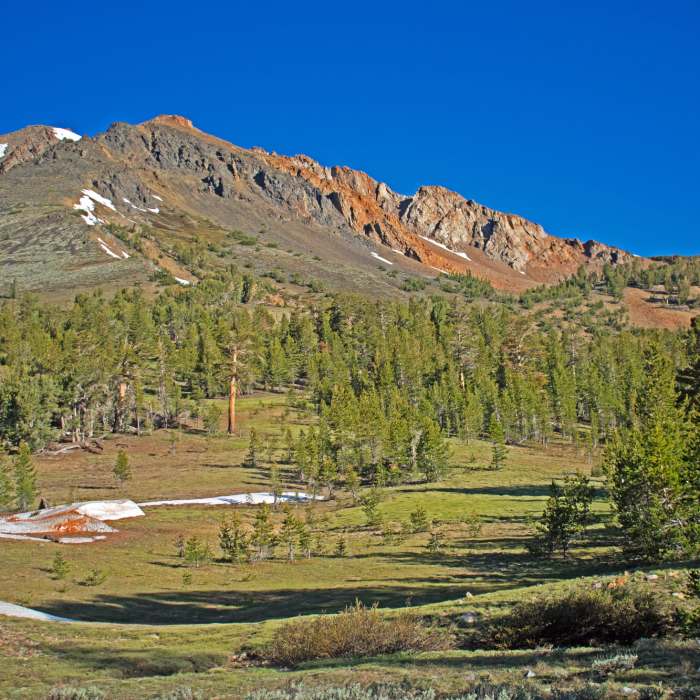 Near Eagle Creek to Peak