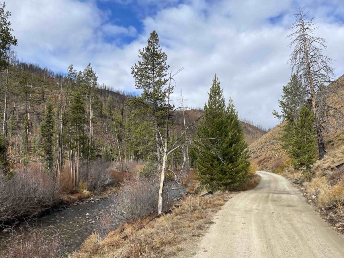 Basin Creek trail photo