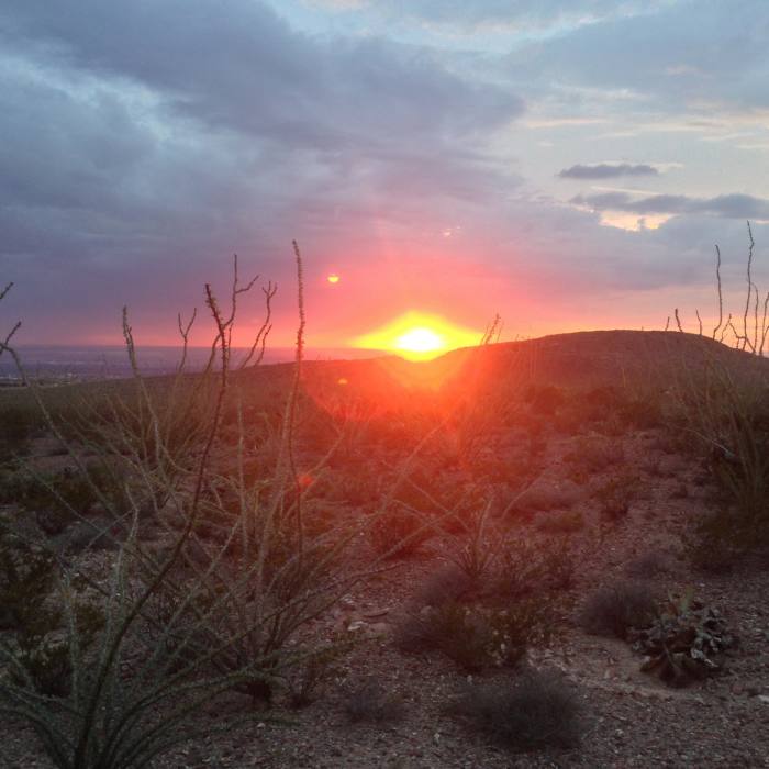A high desert sunset along the ocotillo fields of Little Moab. Near Tour de Lost Dog