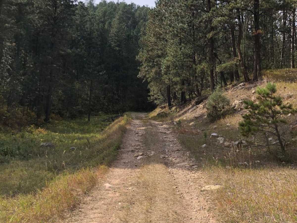 Roby Canyon FS 264 photo 3