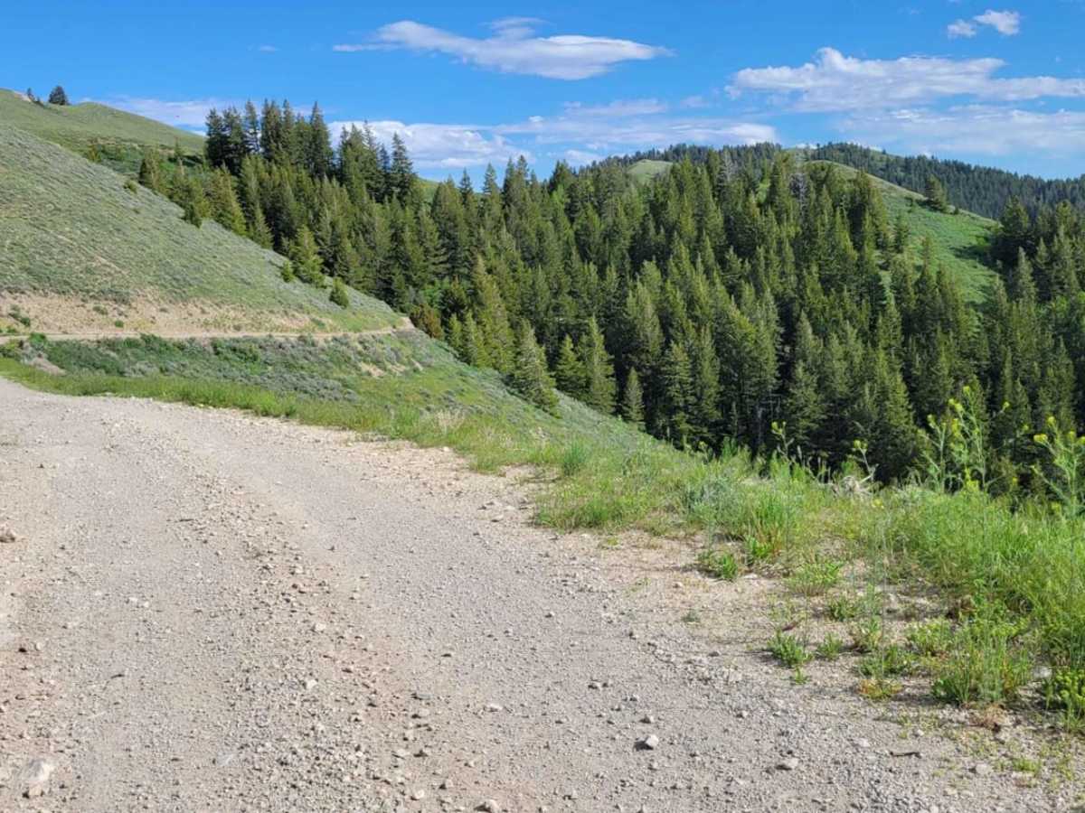 Sheep Canyon 1 photo 6