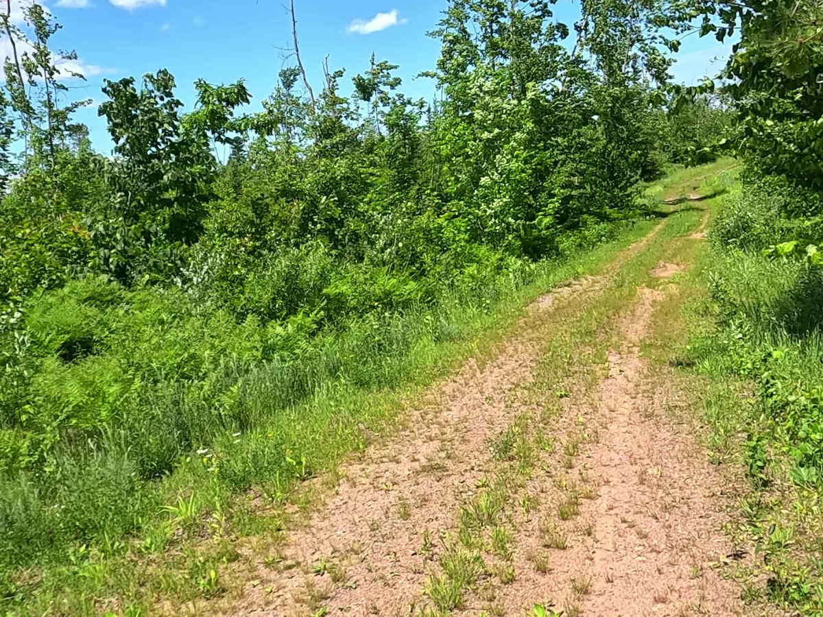 L'Anse Reservation Spur photo 3
