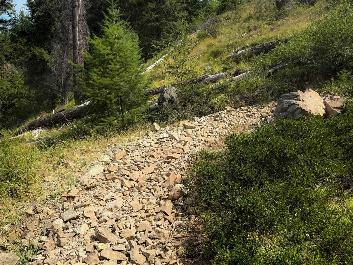 Jolly Mountain Trail - 1307 photo 6