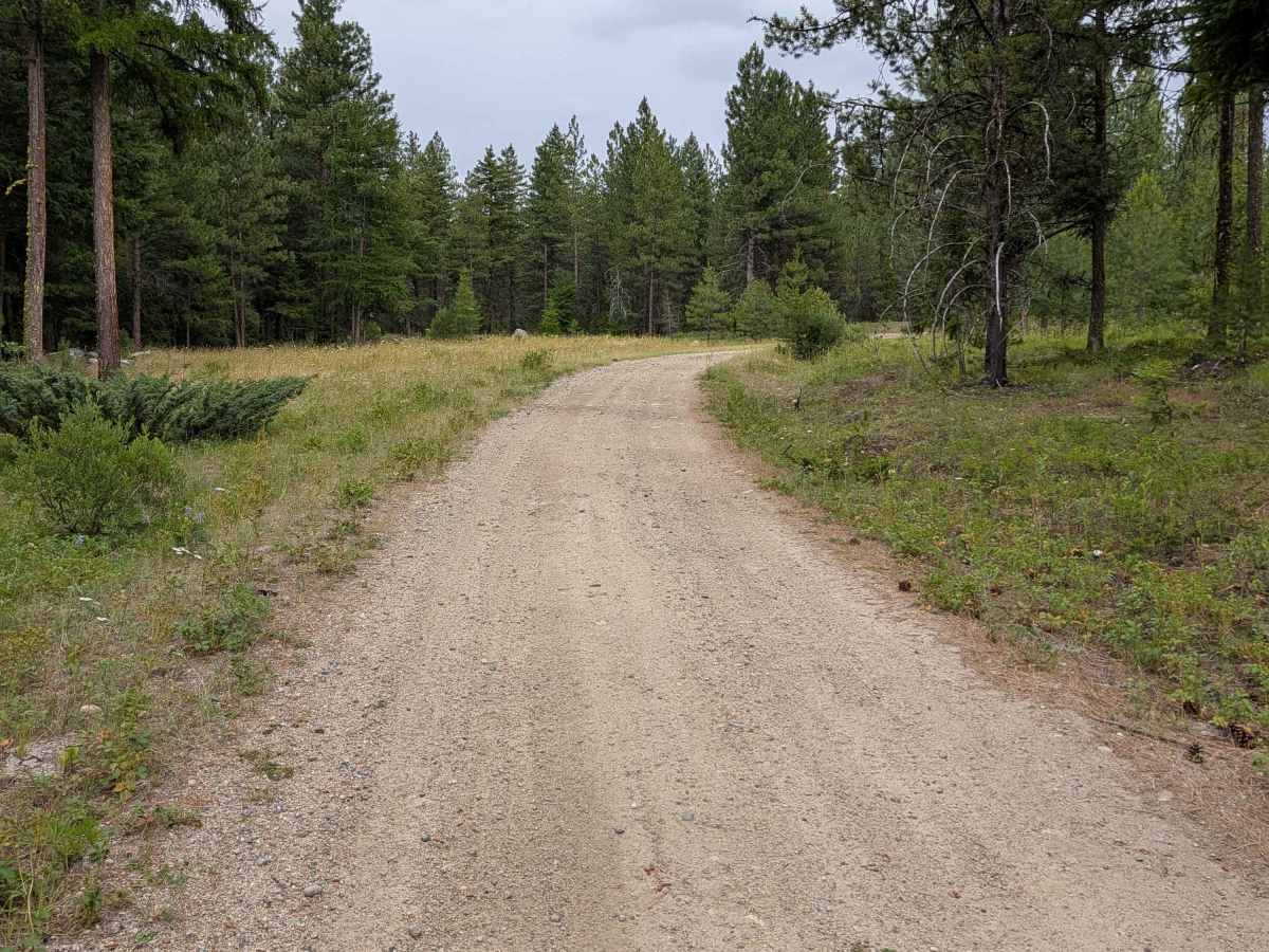 Cedar Creek - FS 3700-110 trail photo