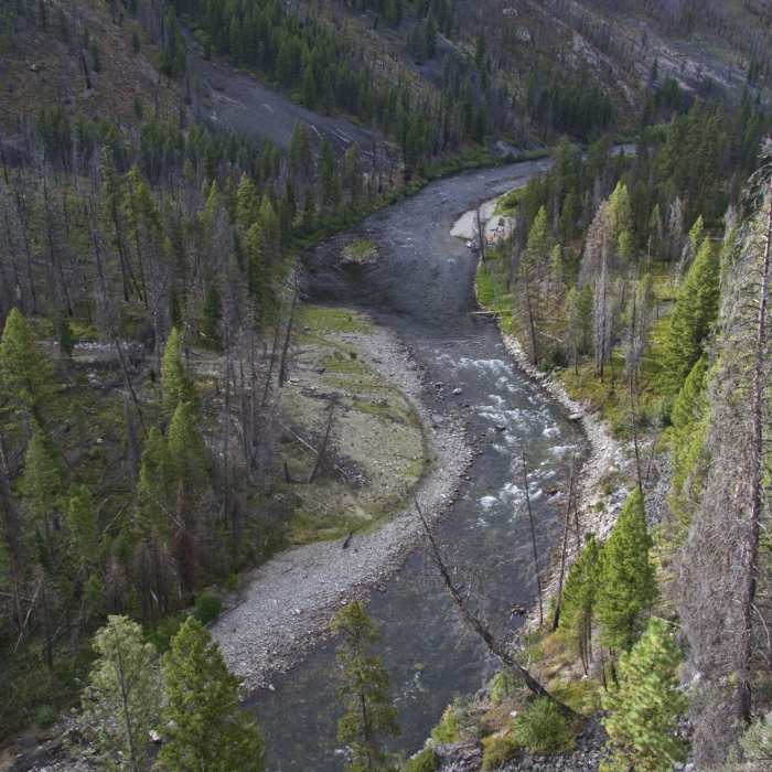 Near Middle Fork of the Salmon River Trail a Day 2