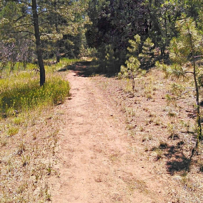 Near Valle Trail #256