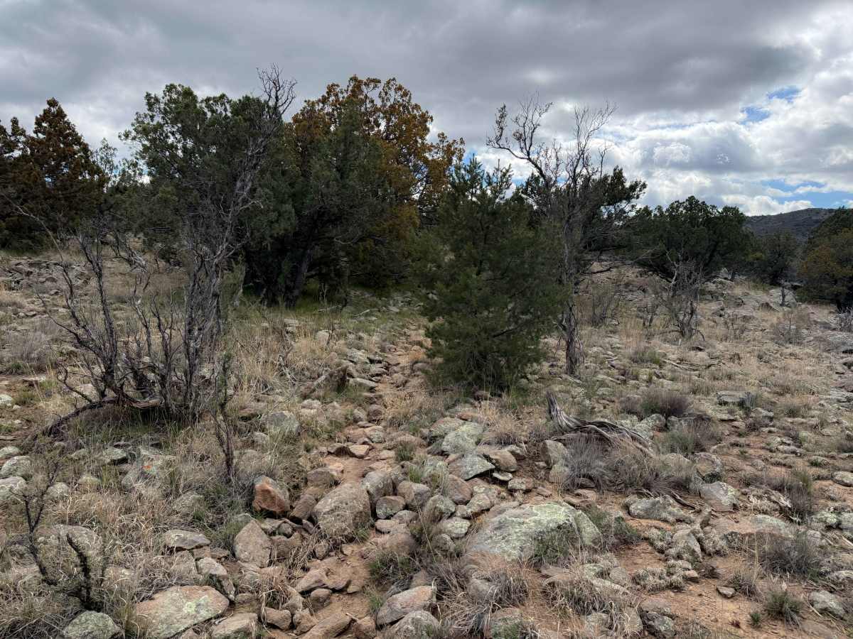 Coldwater Trail #21 (Singletrack)   photo 3
